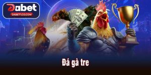 Đá gà tre